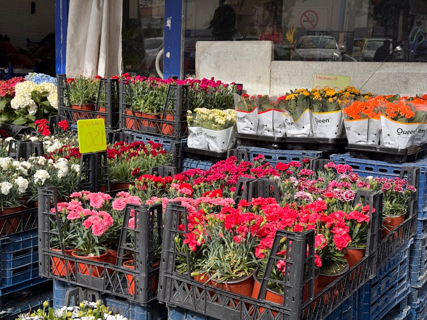 Outdoor display of various potted flowers arranged in black plastic crates outside a flower shop. The flowers include pink, red, white, orange, and yellow blooms, with some in white packaging labeled